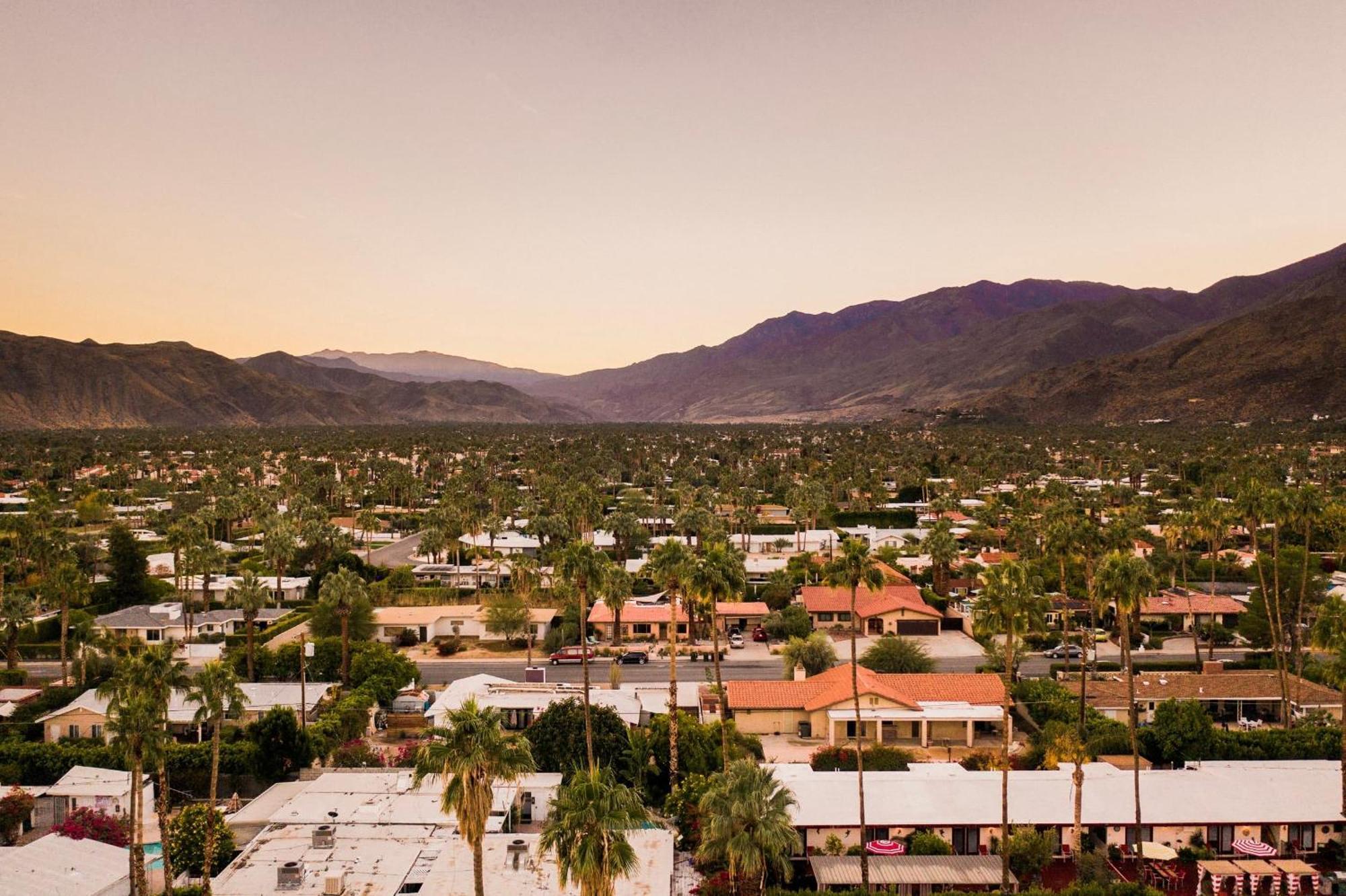 The Wesley Hotel By Avantstay Retro Spacious W Bbq Pool Spa Palm Springs Exteriör bild